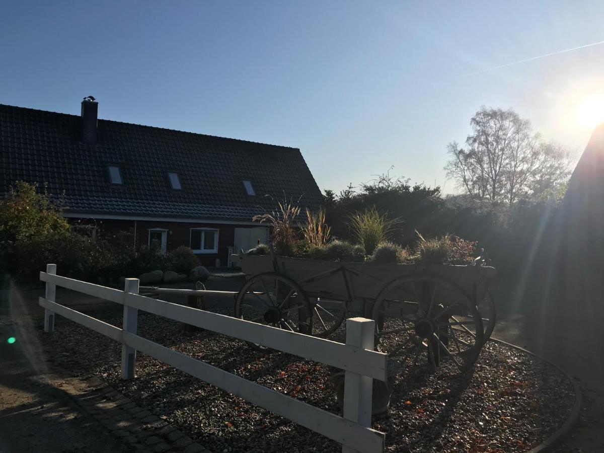 Nordische Ferienwohnung Auf Gut Bennewohld Ll Heide  Buitenkant foto